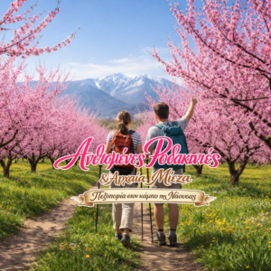 29/03/2026 : Η Άνοιξη της Νάουσας : Ανθισμένες Ροδακινιές, Αρχαία Μίεζα, Σχολή Αριστοτέλη!